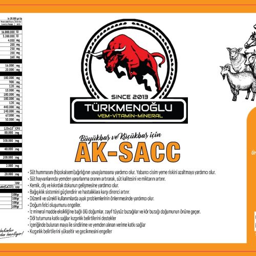 WhatsApp Image 2024-03-08 at 18.59.35 (2)